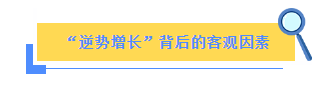 Z6������ʱ�����й�����-Delight the World