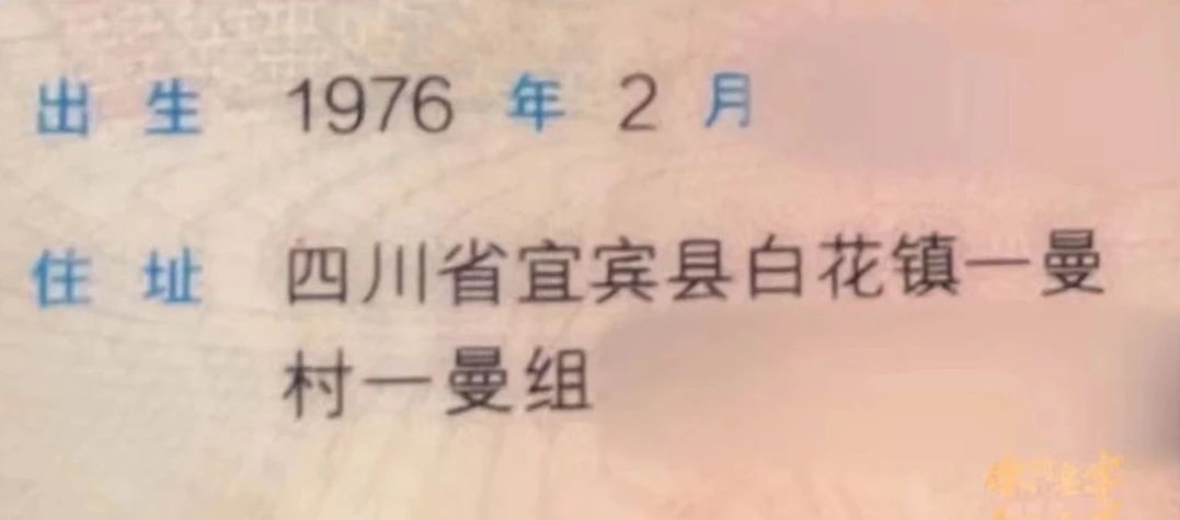 Z6������ʱ�����й�����-Delight the World